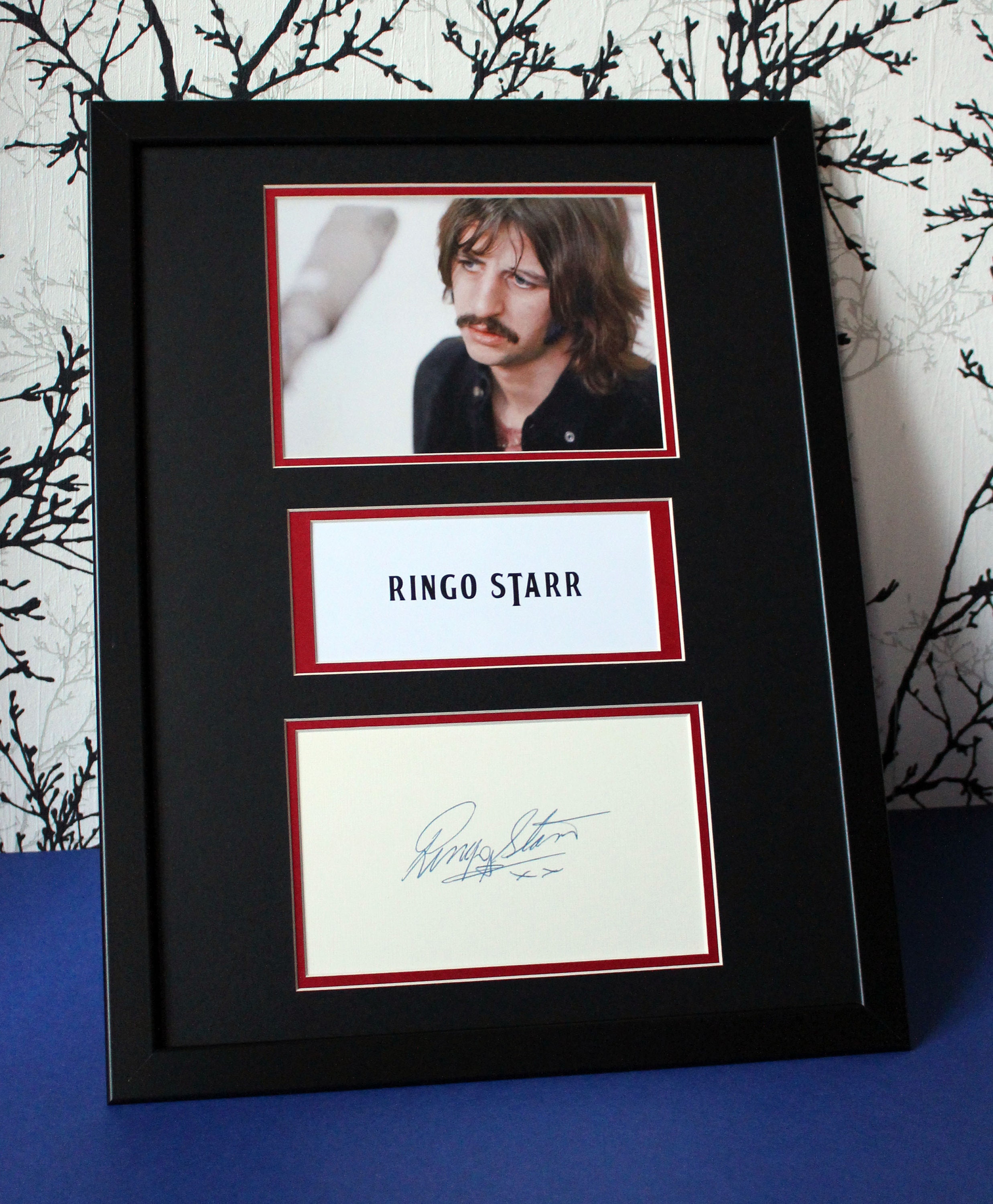 Ringo Starr AUTOGRAPH DISPLAY CASE Unique Artwork the Funny One - Etsy