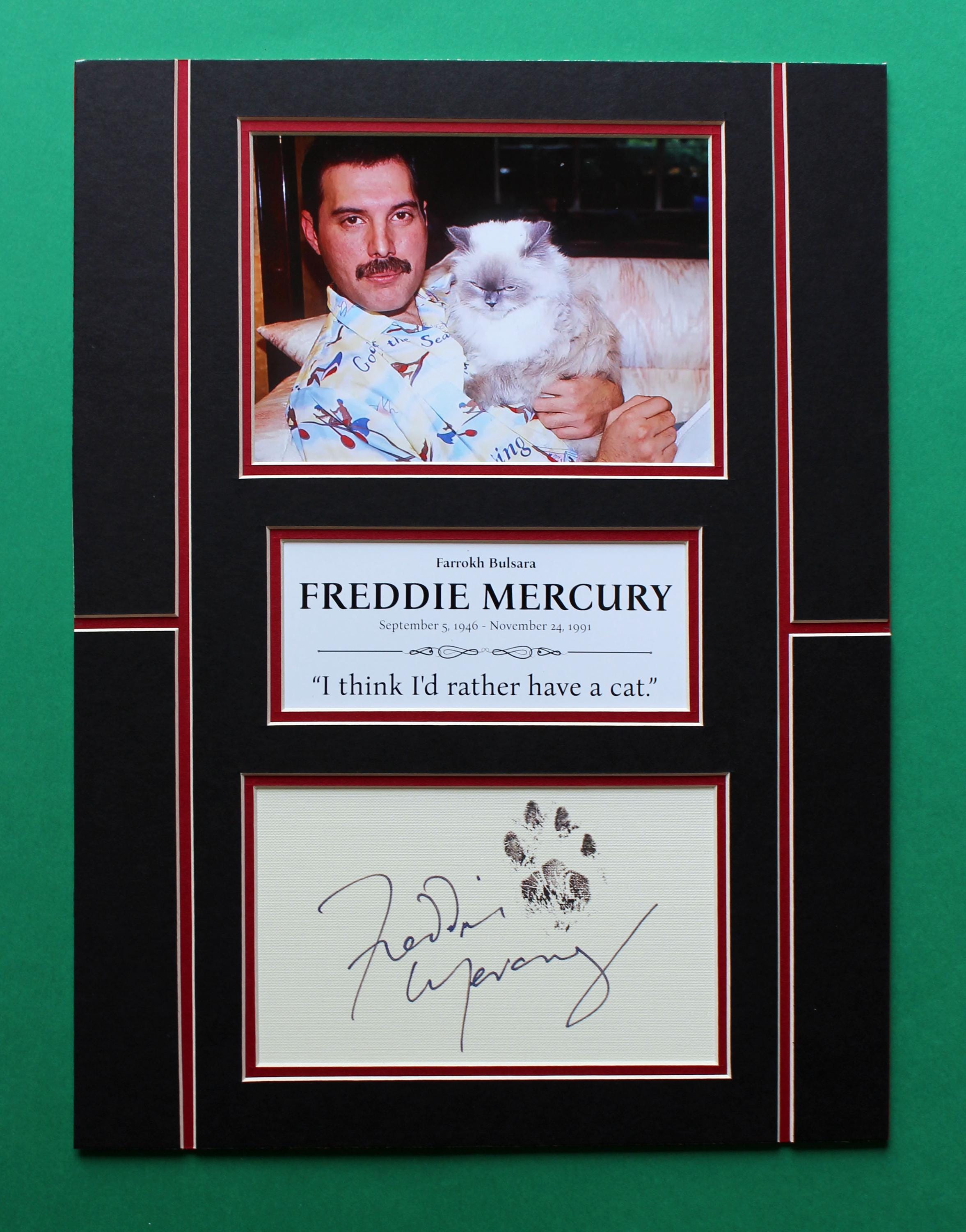 Freddie Mercury & Cat AUTOGRAPH DISPLAY Unique Artwork Cat Love Level ...