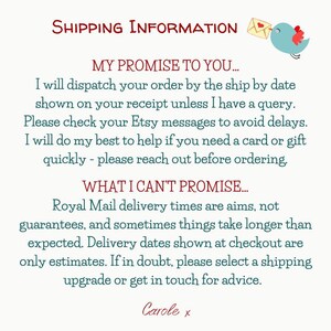 May include: A white informational card featuring red text headers reading SHIPPING INFORMATION, MY PROMISE TO YOU, and WHAT I CAN'T PROMISE. The text details dispatch policies and delivery expectations, accompanied by a small blue bird illustration.
