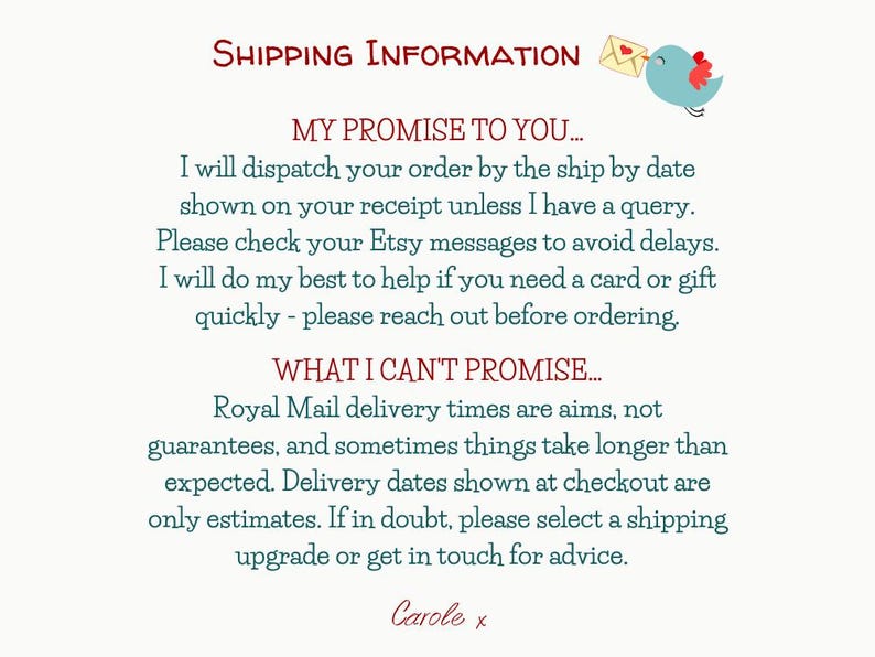 May include: A white informational card featuring red text headers reading SHIPPING INFORMATION, MY PROMISE TO YOU, and WHAT I CAN'T PROMISE. The text details dispatch policies and delivery expectations, accompanied by a small blue bird illustration.