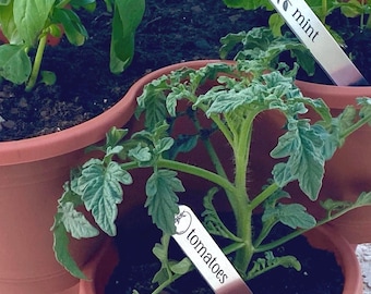 Engraved Aluminum Garden Markers: Herb, Vegetable, Fruit Plant Labels