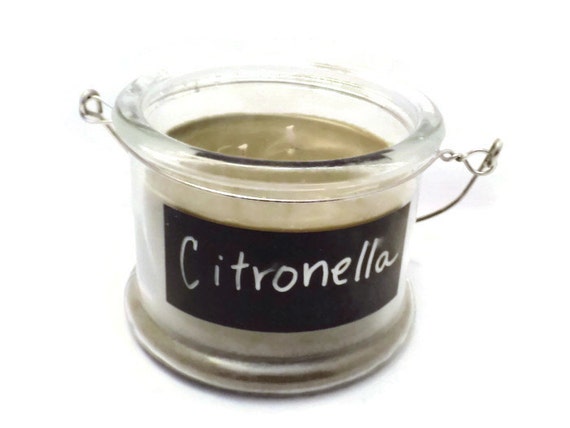 New! Citronella Scented Outdoor Candle in 16 oz. Jar