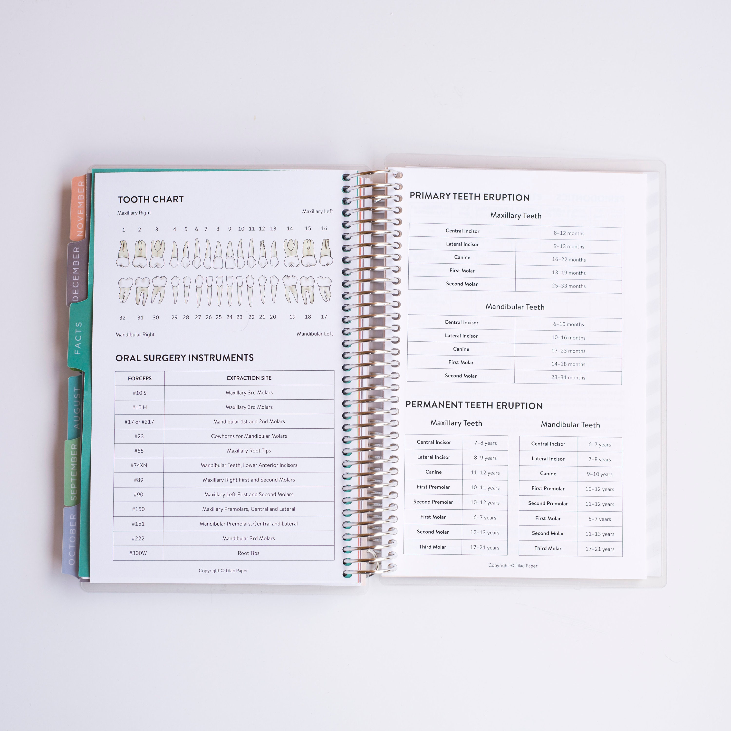 Lilac Planner Daydream Color Dental and Dental Hygiene Etsy