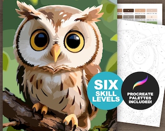 Kit de peinture numérique par numéro hibou mignon : bébé hibou couleur par numéro, pages à colorier pour adultes (6 niveaux, imprimables, procréer)