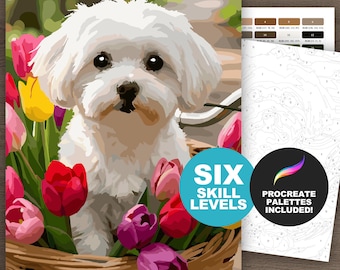 Maltese Dog Digital Paint by Number Kit: Flower and Dog Lover Adult Coloring Pages, Printable & Procreate (6 Skill Levels)