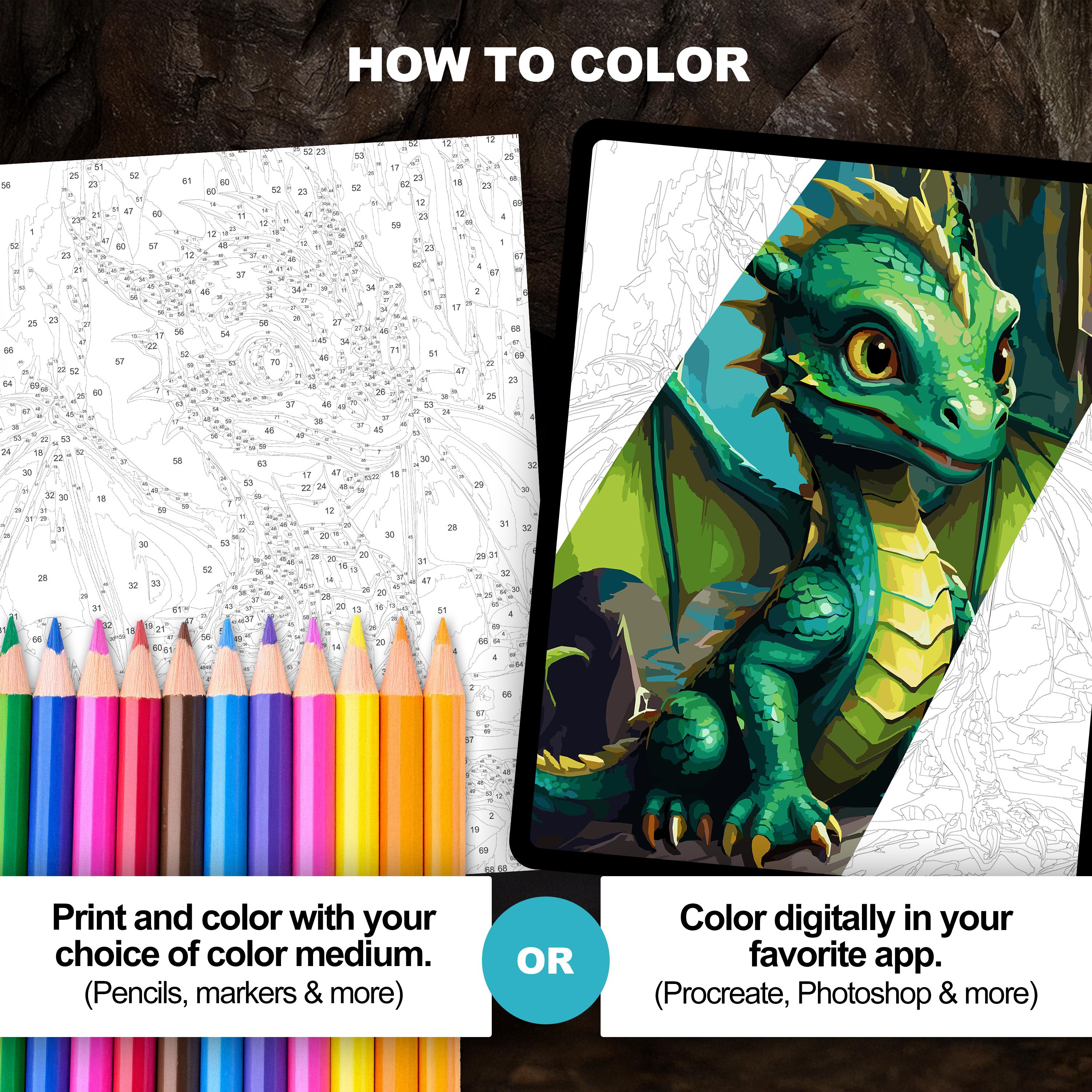 Baby Dragon Color by Number (6 Skill Levels) | Printable and Digital ...