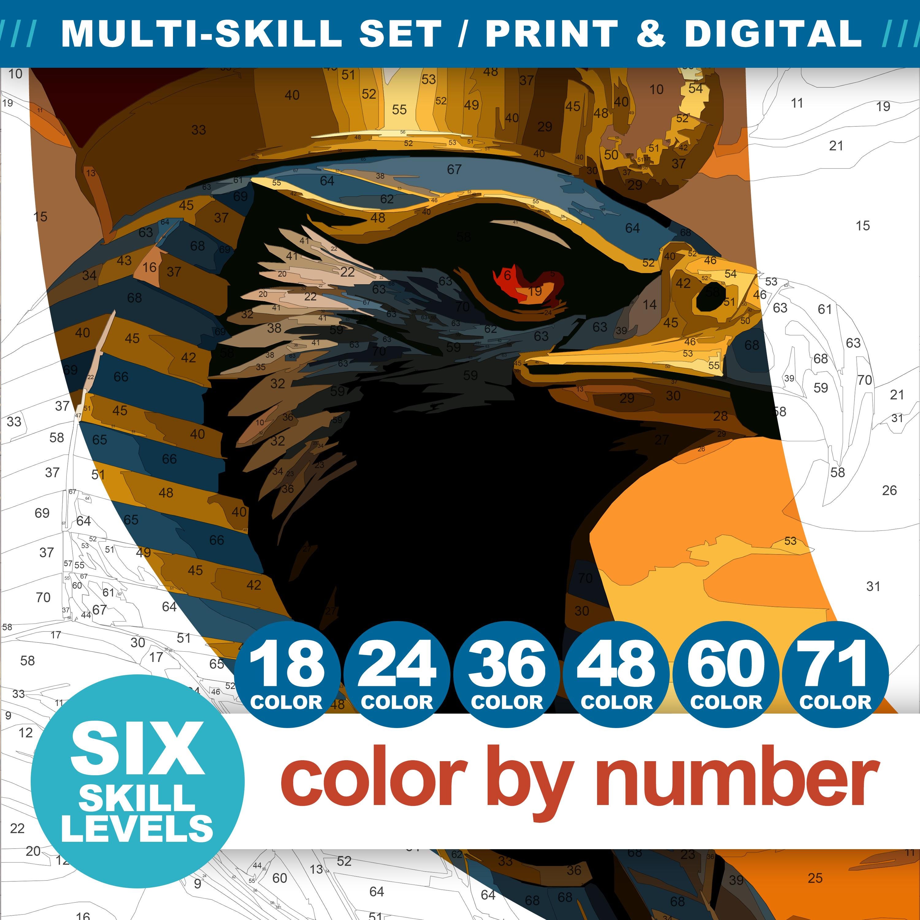 Egyptian God Horus, Color by Number: Ancient Egypt Procreate ...