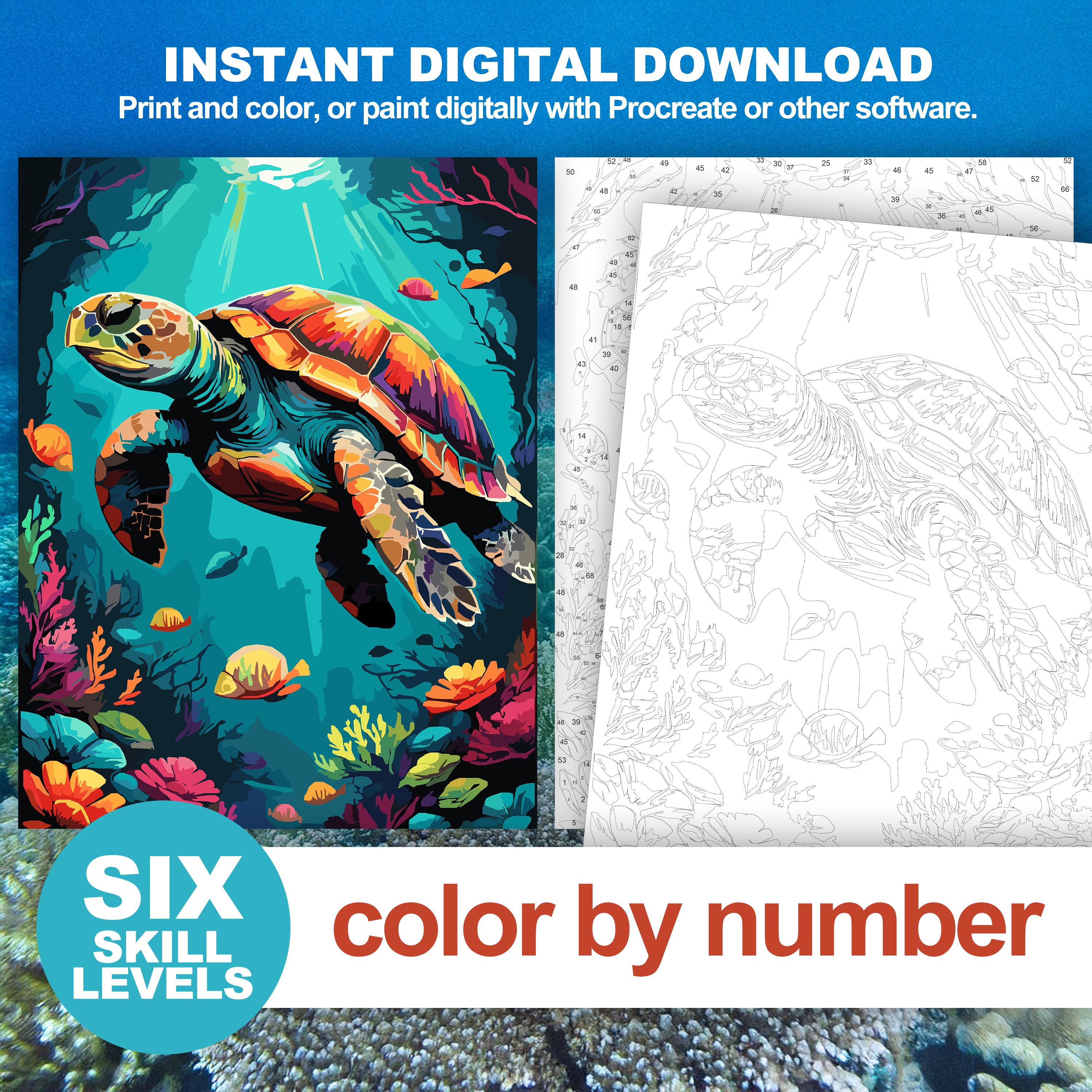 Color by Number Sea Turtle: Painting by Numbers Marine Life Art ...