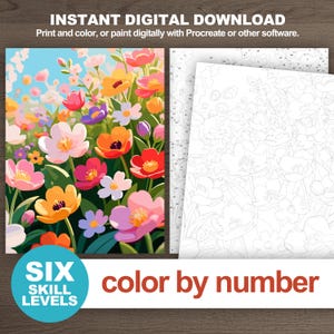 Instant digital download flower field paint by number preview with printable outline pages and colorful floral artwork.