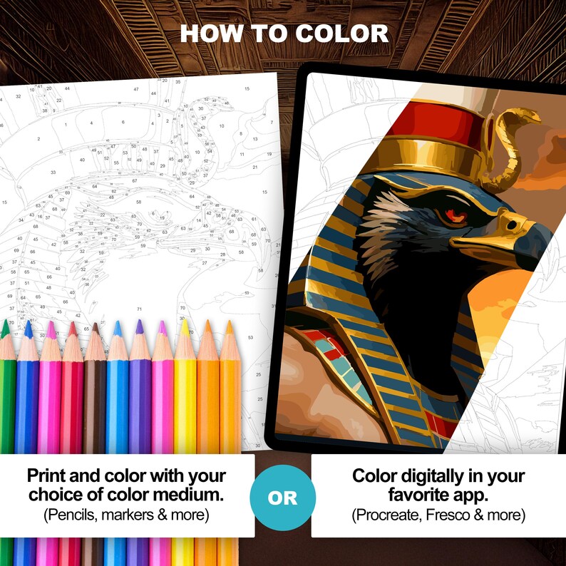 Egyptian God Horus, Color by Number: Ancient Egypt Procreate ...