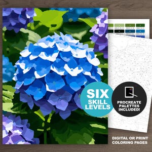 Blue Hydrangea Flowers Paint by Number Kit: Botanical Flower Printable or Procreate Adult Coloring Pages, Floral Art (6 Skill Levels)