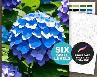 Blaue Hortensien Blumen Malen nach Zahlen Kit: Botanische Blume zum Ausdrucken oder Procreate, Malseiten für Erwachsene, Blumenkunst (6 Schwierigkeitsstufen)
