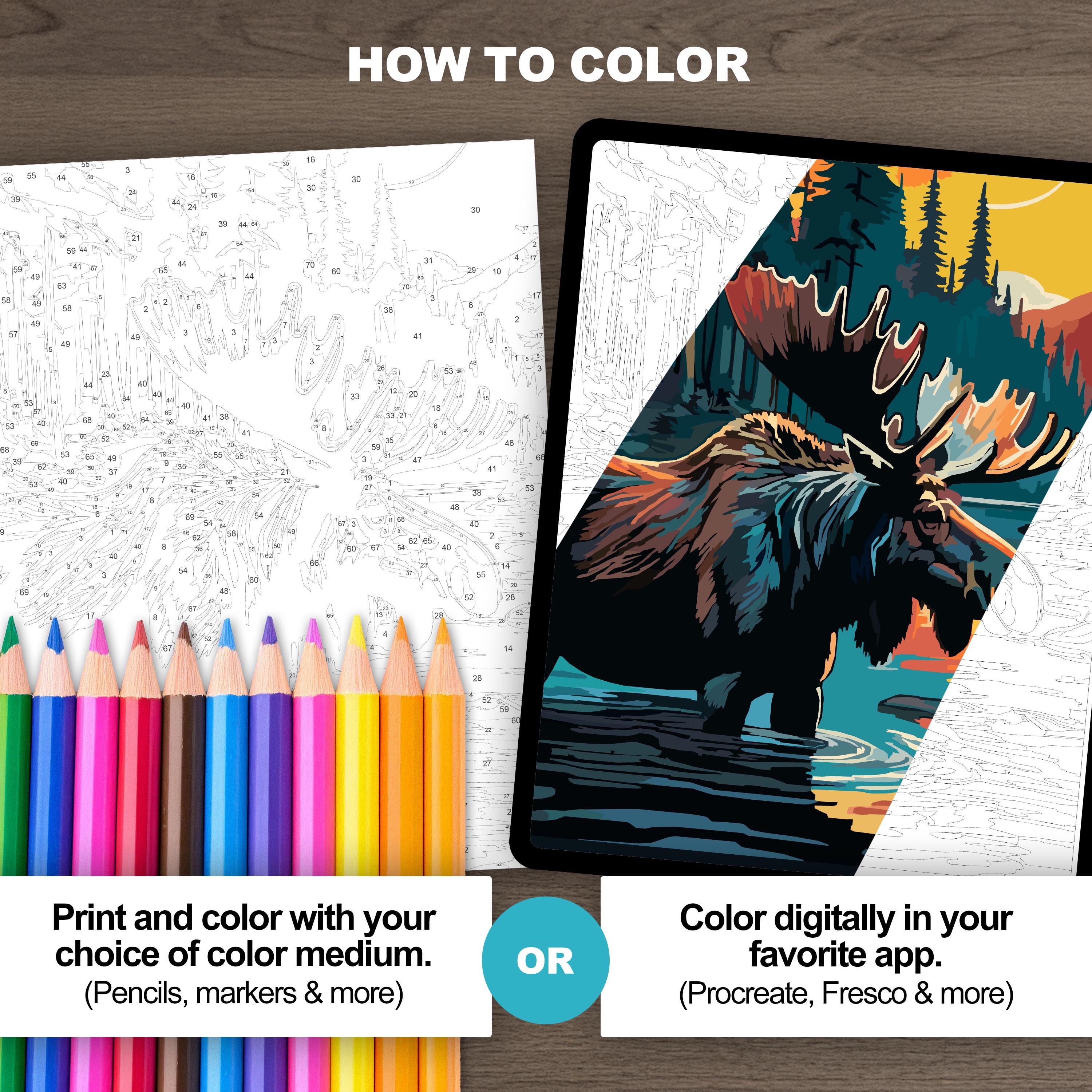 Color by Number Moose Scene (6 Skill Level): Paint by Numbers Printable ...