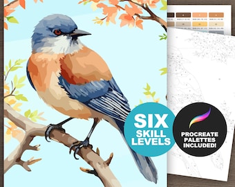 Oiseau chanteur aquarelle, peinture par numéro : coloriage d'oiseau à imprimer (téléchargement numérique)