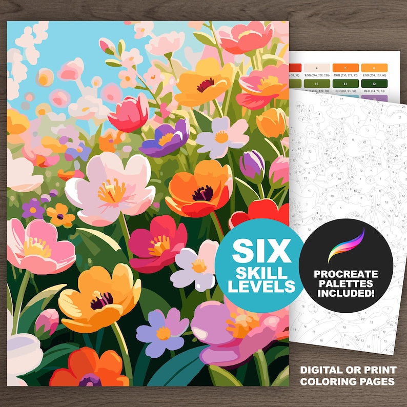 Colorful wildflower field paint by number cover featuring pink, orange, yellow, and lavender flowers beneath a bright blue sky.