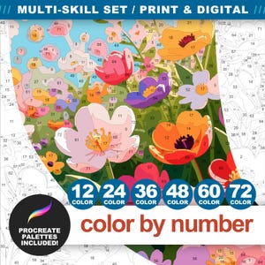 Flower field color by number preview showing numbered floral sections with six color skill levels from 12 to 72 colors.