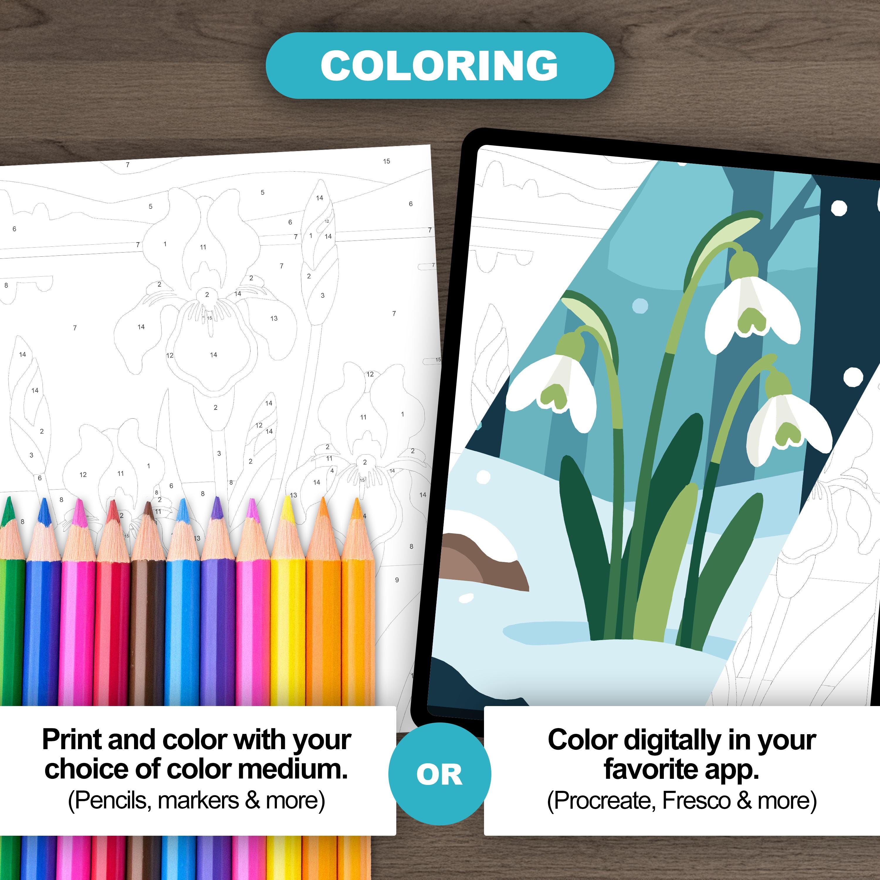 Easy Flowers Color by Number Bundle: 40 Beginner Coloring Pages, Floral ...