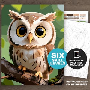 Cute Owl Digital Paint by Number Kit: Baby Owl Color by Number Adult Coloring Pages (6 Levels, Printable, Procreate)