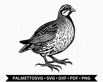 quail svg, quail dxf, quail cut file, quail png, quail clip art, cricut download, commercial use, digital download