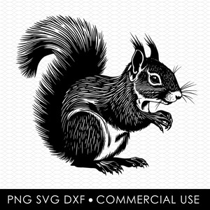 Écureuil svg png, écureuil svg, écureuil png, écureuil dxf, écureuil couper fichier, sublimation, png, conception svg, conception découpée au laser