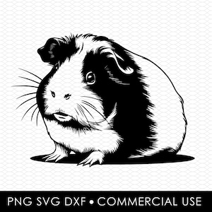 guinea pig svg dxf png, laser cut file, sublimation design, svg cut file, laser burn file, sublimation png, laser engraving, cricut download