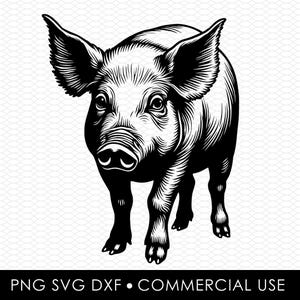 pig svg dxf png, laser cut file, sublimation design, svg cut file, laser burn file, sublimation png, laser engraving, cricut download