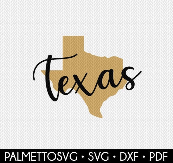 Lone Star Card Replacement Pandemic Ebt Texas / If you find yourself