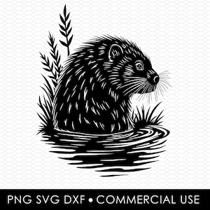 beaver svg dxf png, laser cut file, sublimation design, svg cut file, laser burn file, sublimation png, laser engraving, cricut download