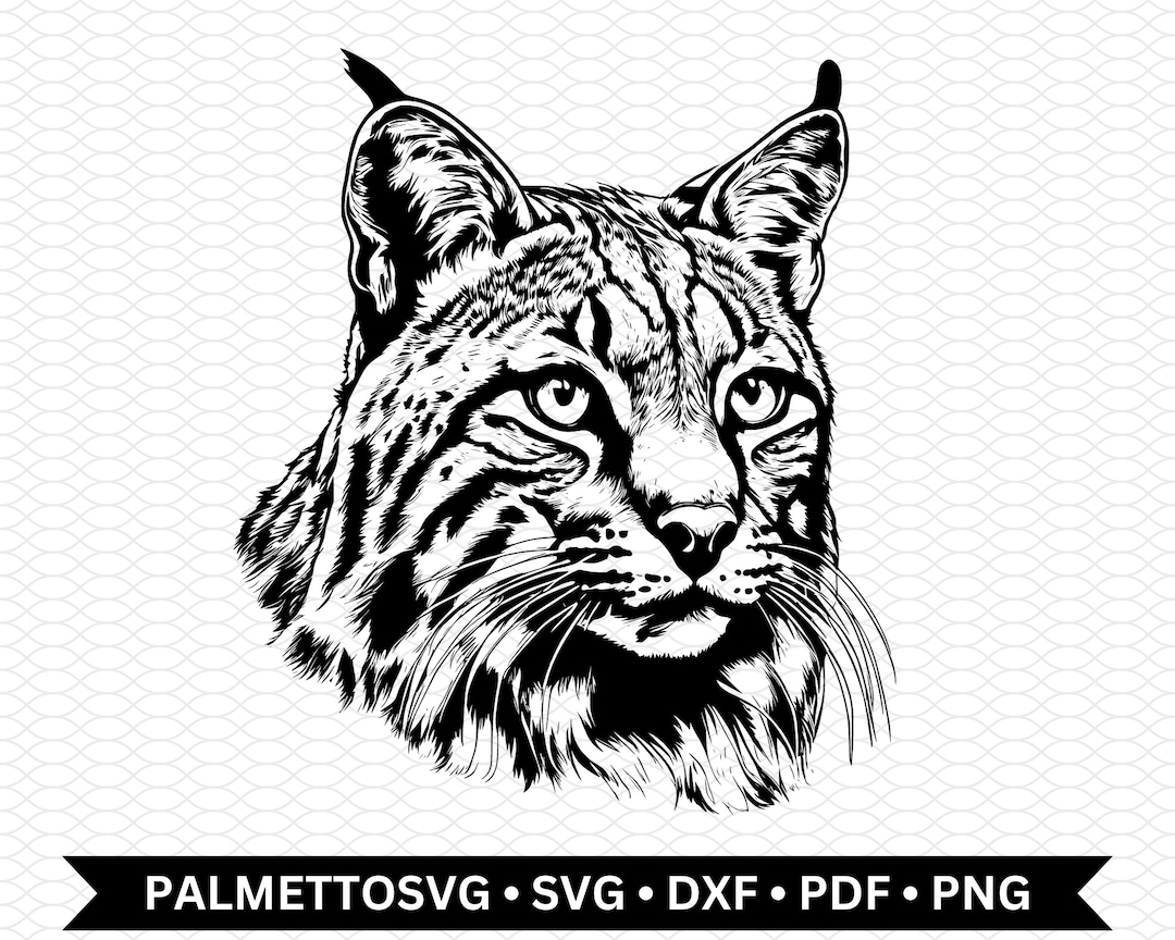 Bobcat Svg, Bobcat Dxf, Bobcat Cut File, Bobcat Clip Art, Bobcat Png