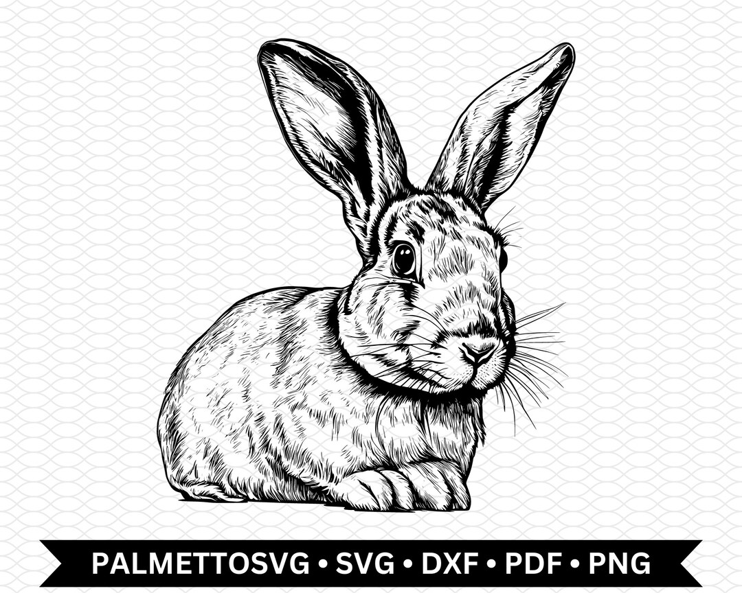 Rabbit Svg, Rabbit Png, Rabbit Dxf File, Rabbit Cut File, Rabbit Clip ...