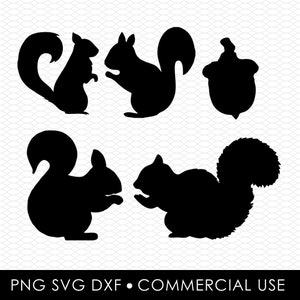 Écureuil svg png, dessins par sublimation, dessins png, dessins svg, dessins découpés au laser, dessins cricut, clipart, fichier dxf, usage commercial