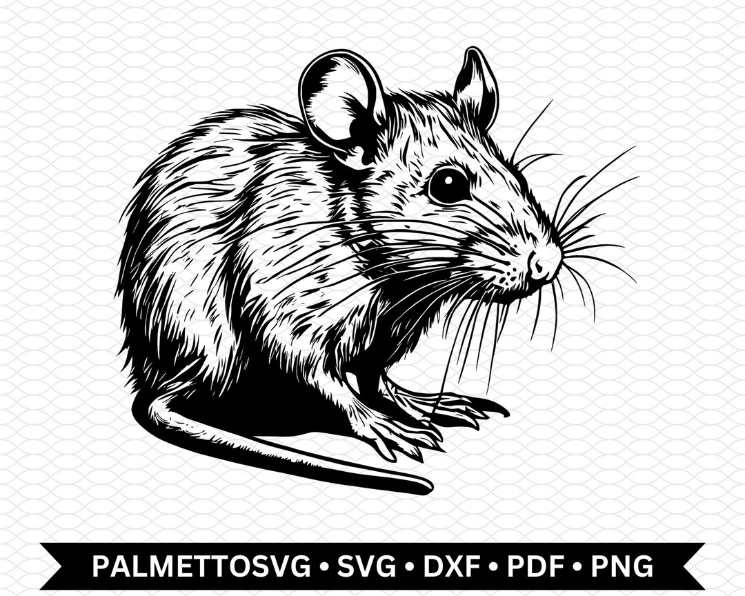 Rat svg, rat dxf file, rat cut file, rat png, rat cut file, svg files ...