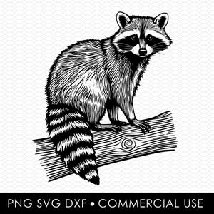 Raton laveur svg png, svg de raton laveur, raton laveur coupé fichier, png de raton laveur, dessins par sublimation, dessins png, dessins svg, dessins découpés au laser, conception cricut