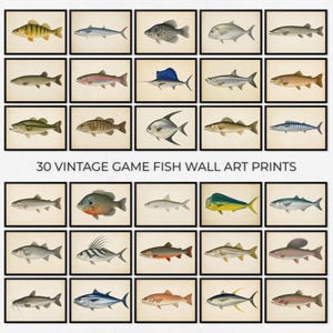 Op de afbeelding: Een collectie van 30 vintage wandkunstprints van vissen, elk met een gedetailleerde illustratie van een andere vissoort op een crèmekleurige achtergrond, ingelijst in dunne zwarte lijsten en gerangschikt in een raster.