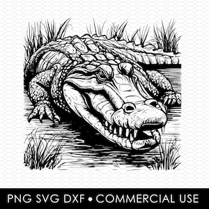 Alligator svg, Alligator png, Alligator Sublimationsentwürfe, Png-Designs, SVG-Designs, Laserschnitt-Designs, Cricut-Designs, Clip Art, dxf-Datei