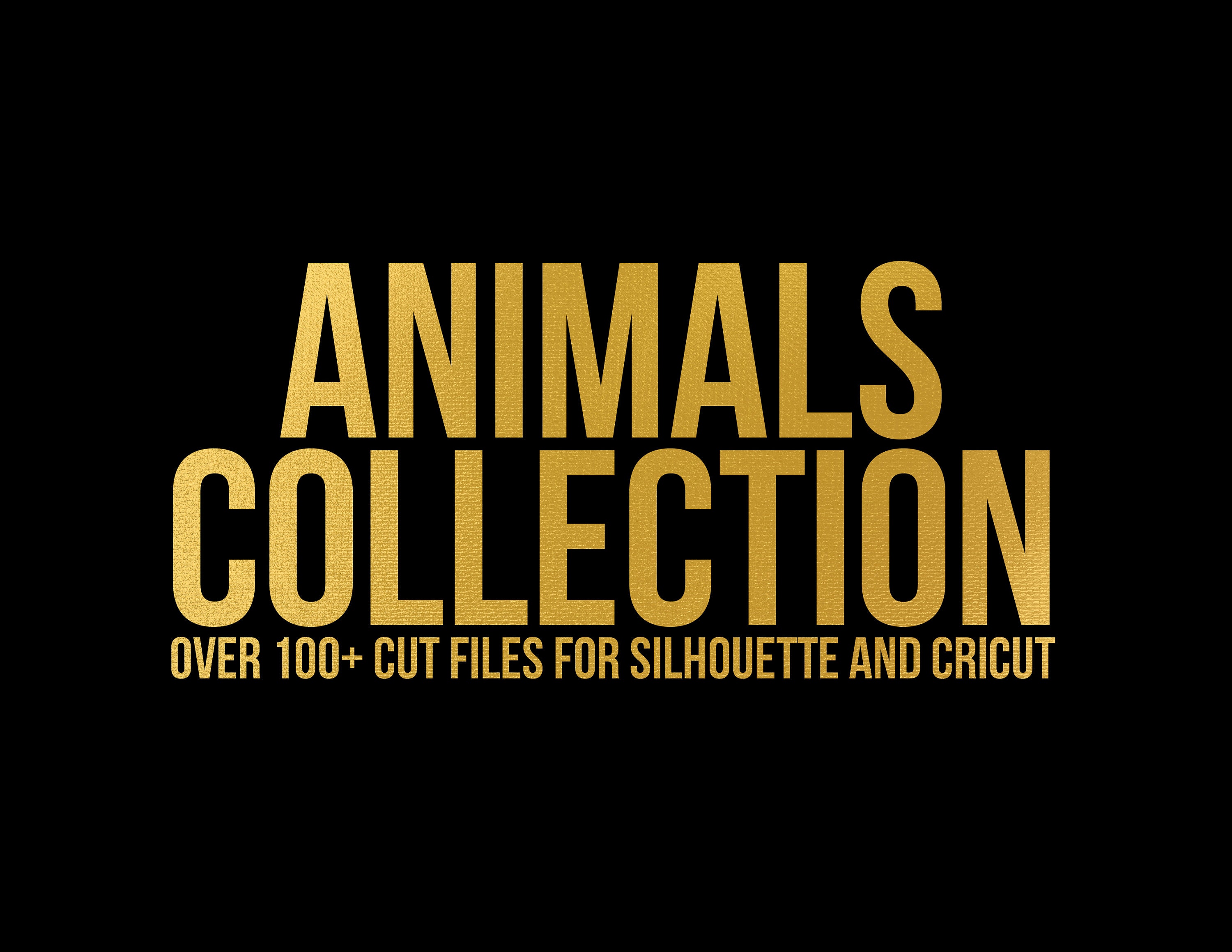 Download sale // all files in my shop // svg dxf file instant ...