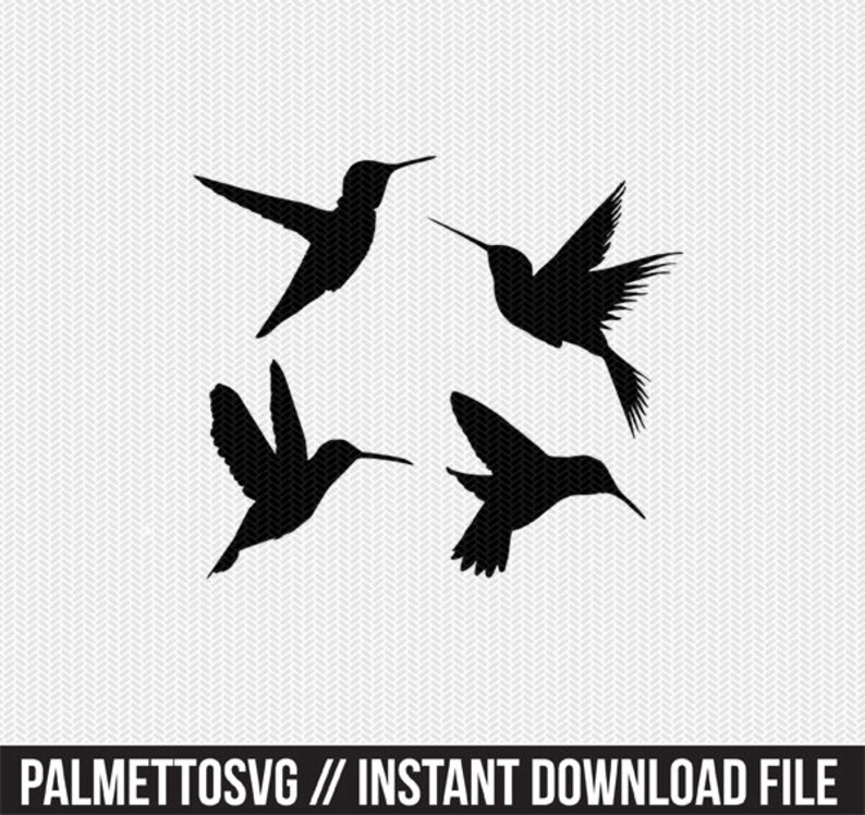 Free Free 303 Hummingbird Svg Free Download SVG PNG EPS DXF File