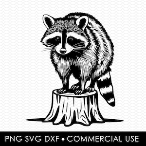 raccoon svg dxf png, laser cut file, sublimation design, svg cut file, laser burn file, sublimation png, laser engraving, cricut download