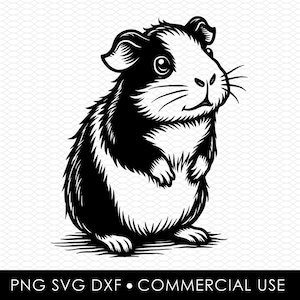 Svg de cochon d'Inde, png de cochon d'Inde, dxf de cochon d'Inde, fichier de coupe cochon d'Inde, dessins par sublimation, dessins png, dessins svg, dessins découpés au laser