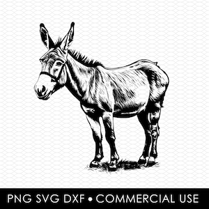 Esel svg png, Sublimationsdesigns, png Designs, svg Designs, Laserschnittdesigns, Cricut Designs, Clip Art, dxf Datei, kommerzielle Nutzung