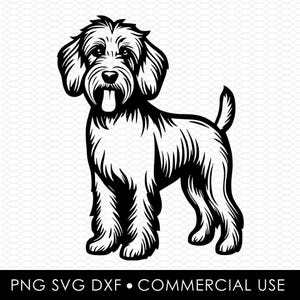 labradoodle svg png , Labradoodle svg , Labradoodle png , Sublimationsentwürfe, Png-Designs, SVG-Designs, Laserschnitt-Designs