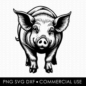 pig svg dxf png, laser cut file, sublimation design, svg cut file, laser burn file, sublimation png, laser engraving, cricut download
