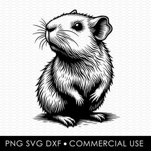 guinea pig svg dxf png, laser cut file, sublimation design, svg cut file, laser burn file, sublimation png, laser engraving, cricut download