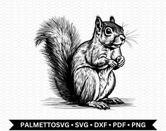 squirrel svg, squirrel png, squirrel dxf, squirrel cut file, squirrel clip art, svg files for cricut, commercial use, digital download