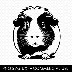 guinea pig svg dxf png, laser cut file, sublimation design, svg cut file, laser burn file, sublimation png, laser engraving, cricut download