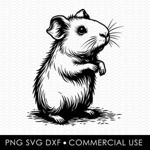 guinea pig svg dxf png, laser cut file, sublimation design, svg cut file, laser burn file, sublimation png, laser engraving, cricut download