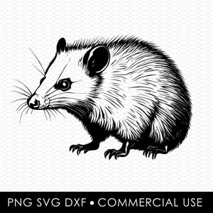 gambá svg png, designs de sublimação, designs png, designs svg, designs de corte a laser, designs cricut, clip art, arquivo dxf, uso comercial