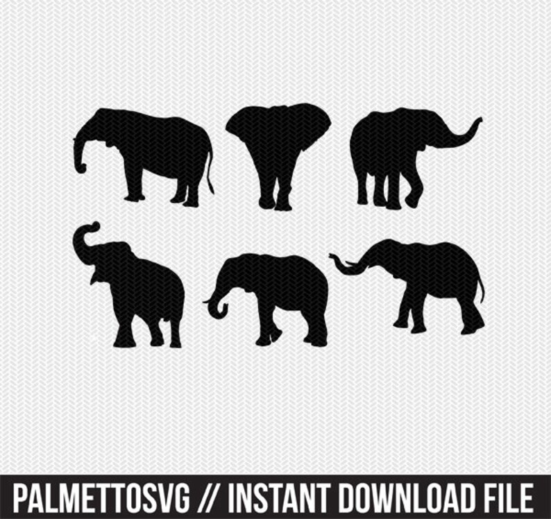 Download Elephants Svg Dxf Jpeg Png File Instant Download Stencil Silhouette Cameo Cricut Downloads Clip Art Commercial