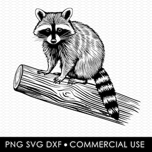 Raton laveur svg png, svg de raton laveur, raton laveur coupé fichier, png de raton laveur, dessins par sublimation, dessins png, dessins svg, dessins découpés au laser, conception cricut