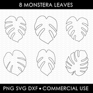 monstera svg dxf png, laser cut file, sublimation design, svg cut file, laser burn file, sublimation png, laser engraving, cricut download